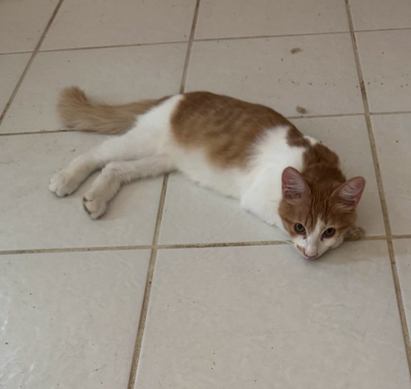 Frederick Image