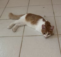 Frederick - Photo 1