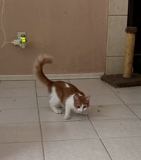 Frederick - Photo 2