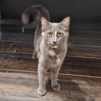 Delilah - Photo 3