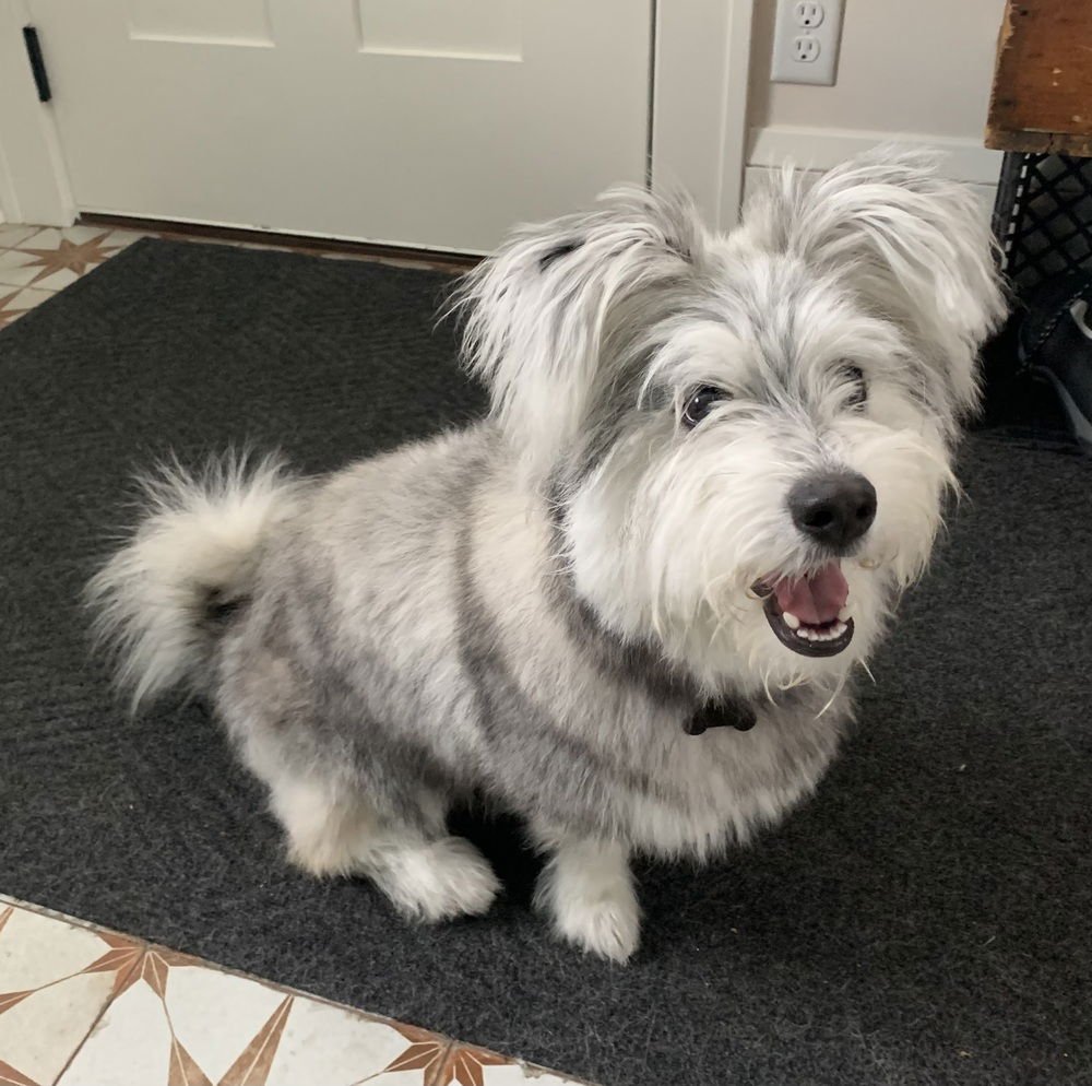 MR. BERT ~NO LONGER ACCEPTING APPLICATIONS~