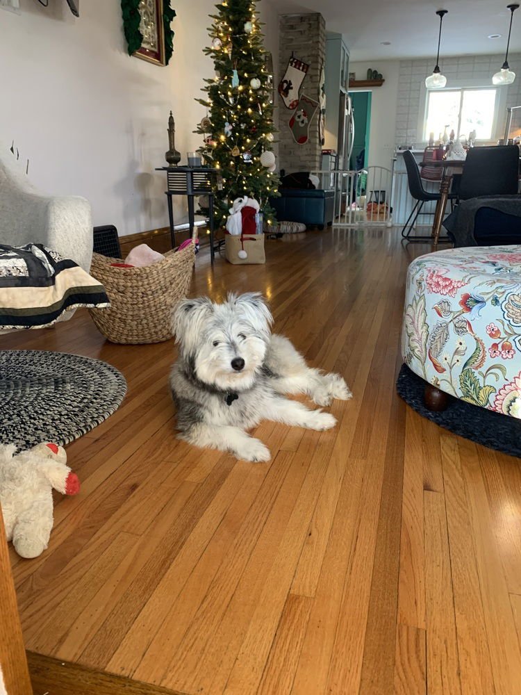 Mr. Bert ~No Longer Accepting Applications~ - Photo 3