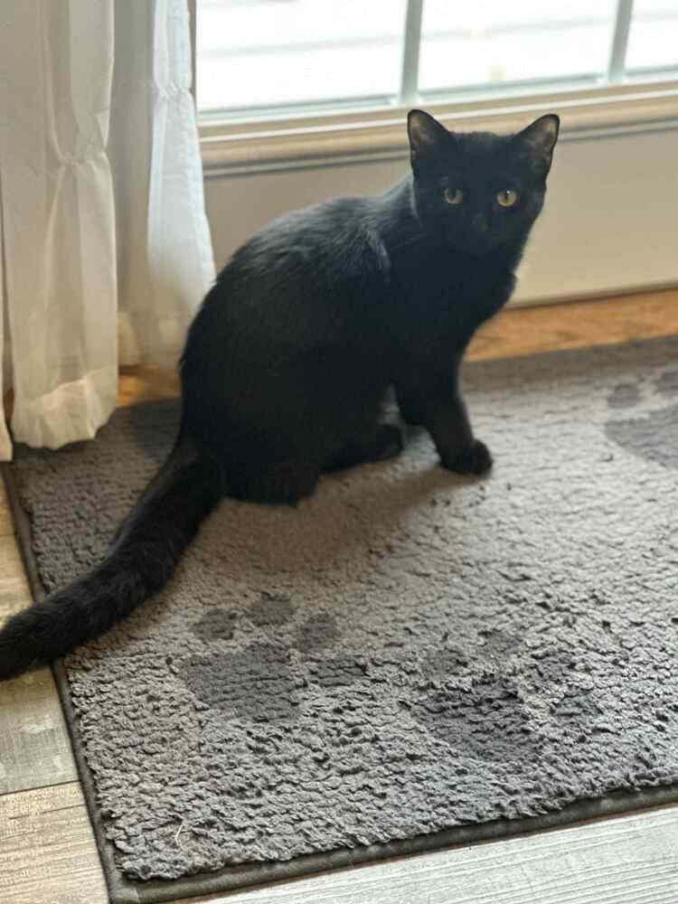 Lil' Spice - Photo 3