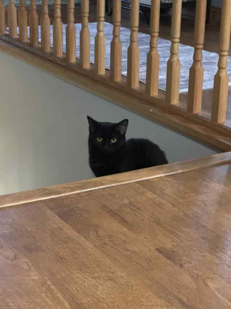 Lil' Spice - Photo 4