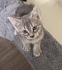 Flapjack - Photo 2