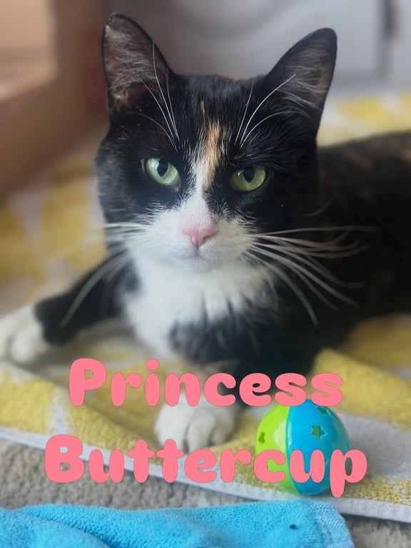 Princess Buttercup Image