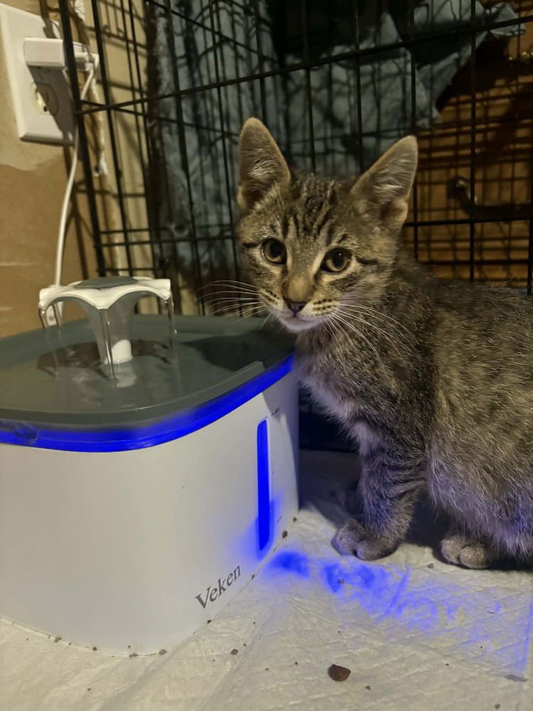 Derek- "Meet Me At Eden Prarie Chuck And Dons - Photo 3