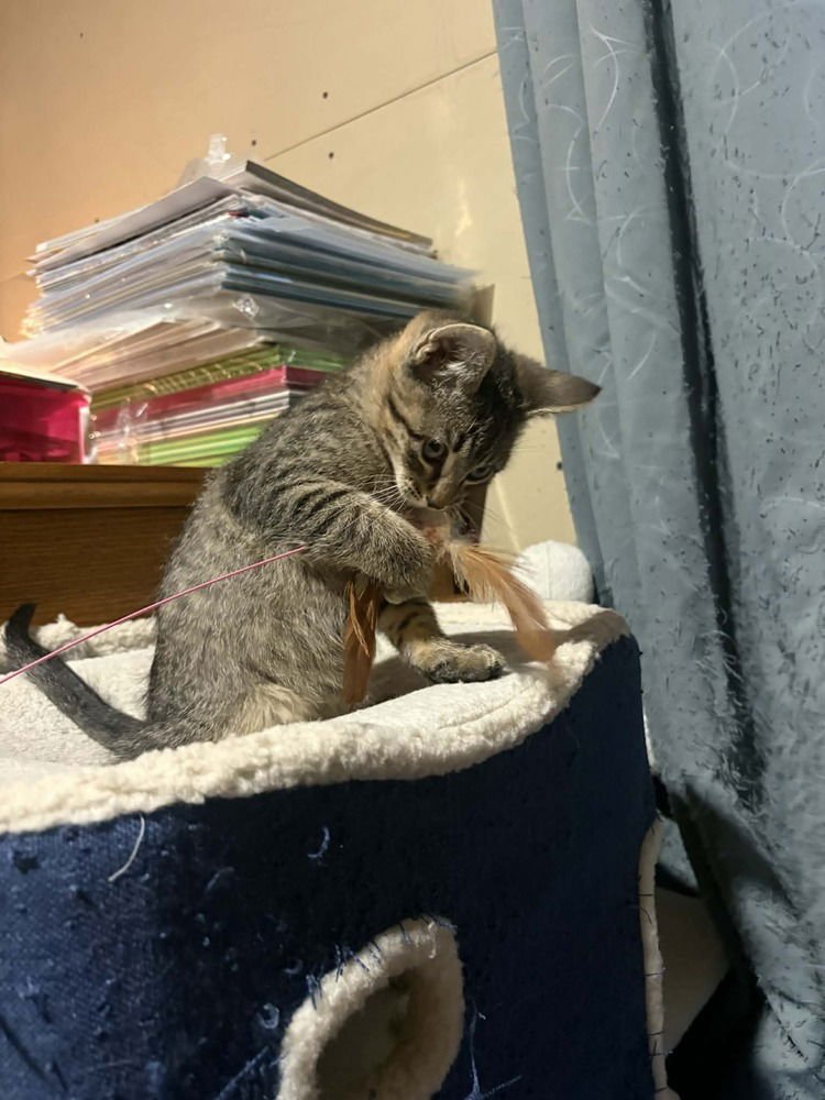 Derek- "Meet Me At Eden Prarie Chuck And Dons - Photo 4