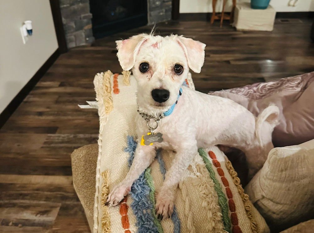 Glitterati - Photo 4