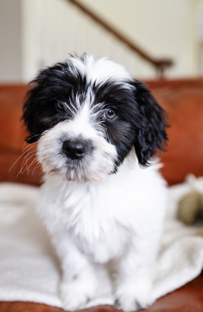 Dale- "No Longer Accepting Applications - Photo 4