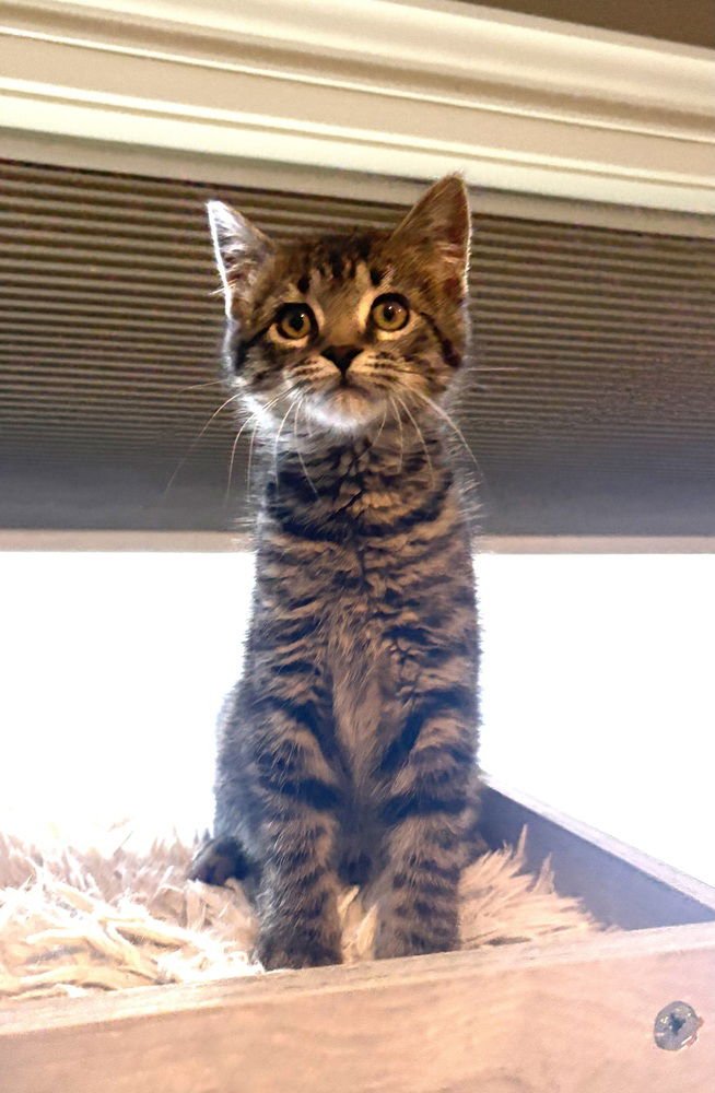 Wilbur- "No Longer Accepting Applications - Photo 3