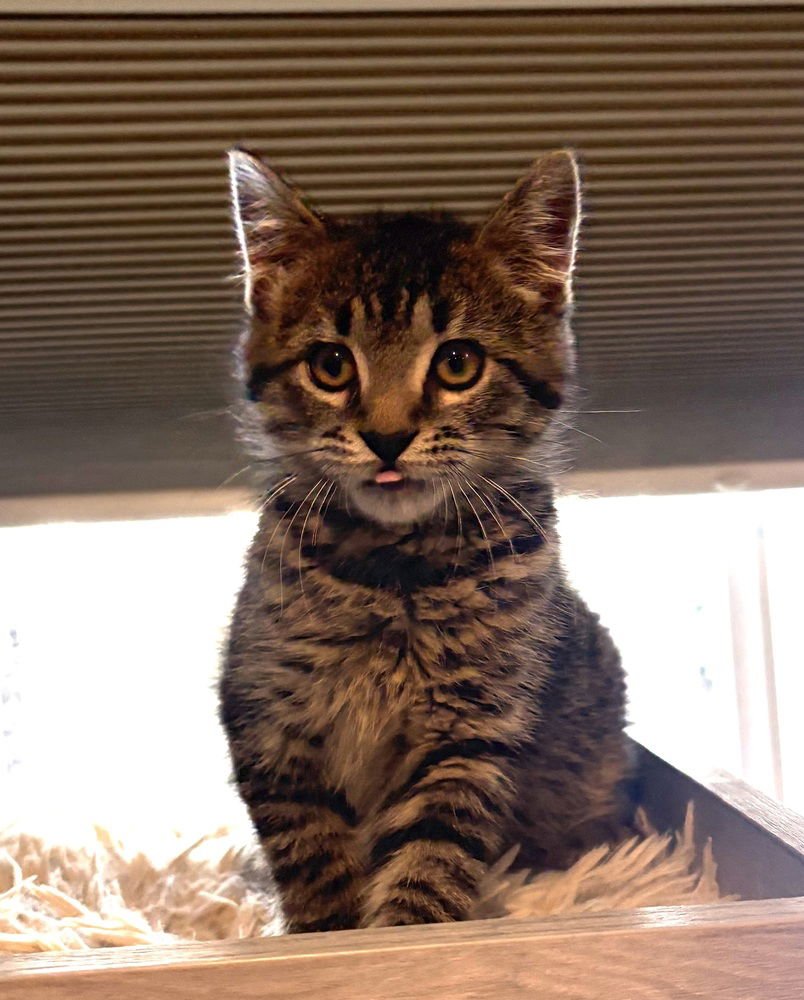 Wilbur- "No Longer Accepting Applications - Photo 4