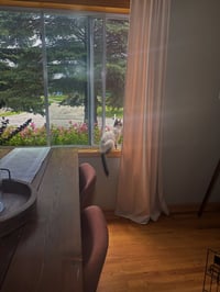 Bouddica - Photo 4
