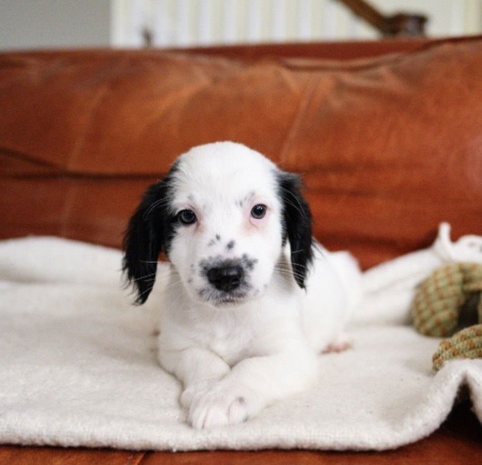 Rebecca-"Has Multiple Applications - Photo 3