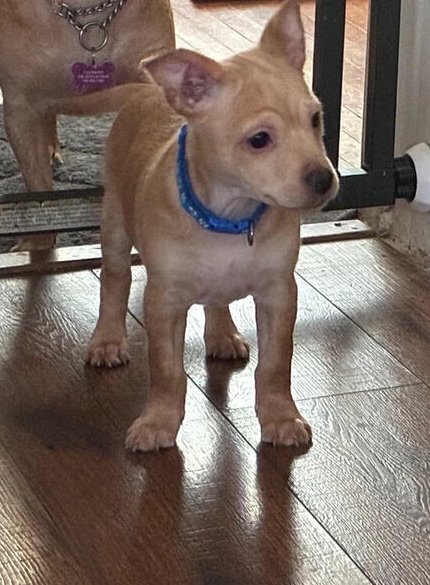 King Friday - Photo 3