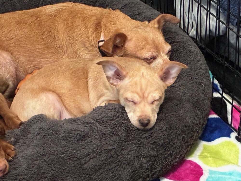 King Friday - Photo 4