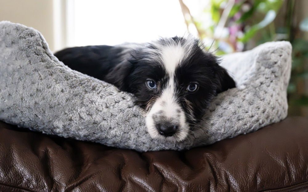 Angela- ''No Longer Accepting Applications - Photo 3