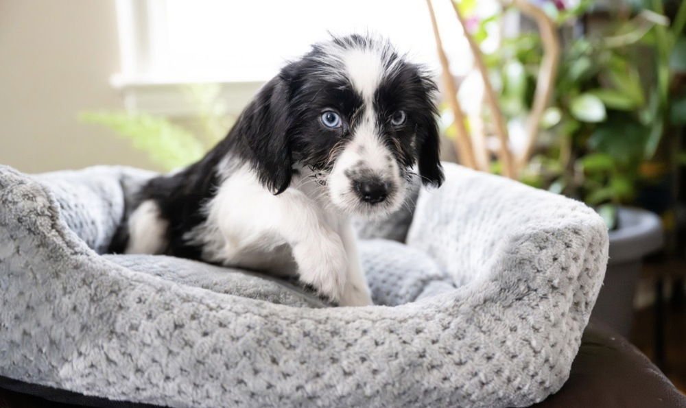 Angela- ''No Longer Accepting Applications - Photo 4