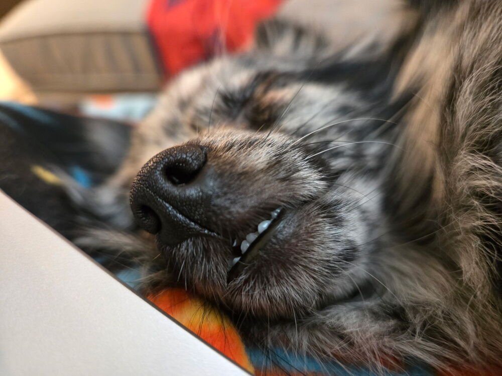 Malibu ~No Longer Accepting Applications~ - Photo 4