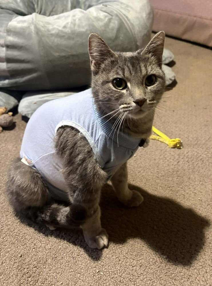 Muffin "Meet Me at Eden Prairie Chuck and Dons - Photo 3