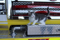 Wee - Photo 1