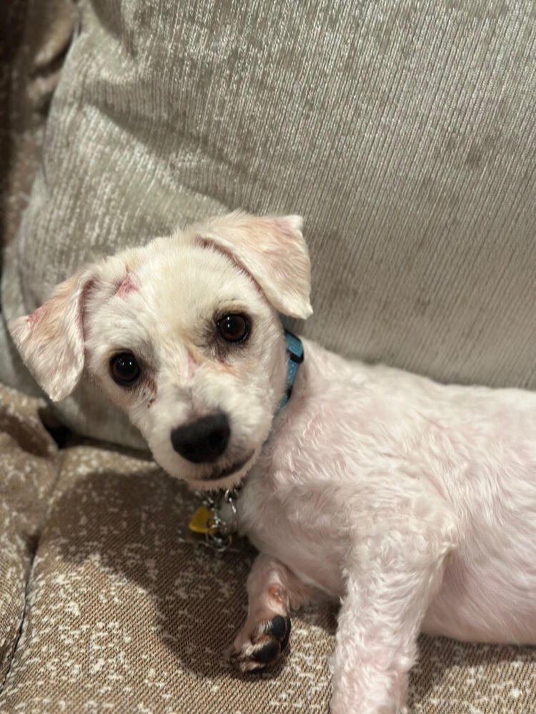 Glitterati - Photo 4