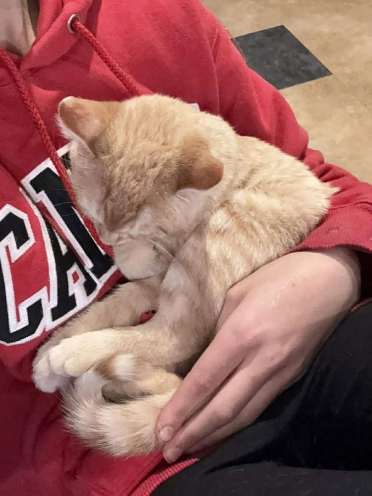 Sock- "Meet Me At Eden Prarie Chuck And Dons - Photo 3