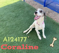 CORALINE - Photo 1