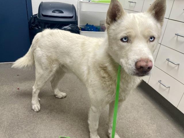 RAGNAR Image