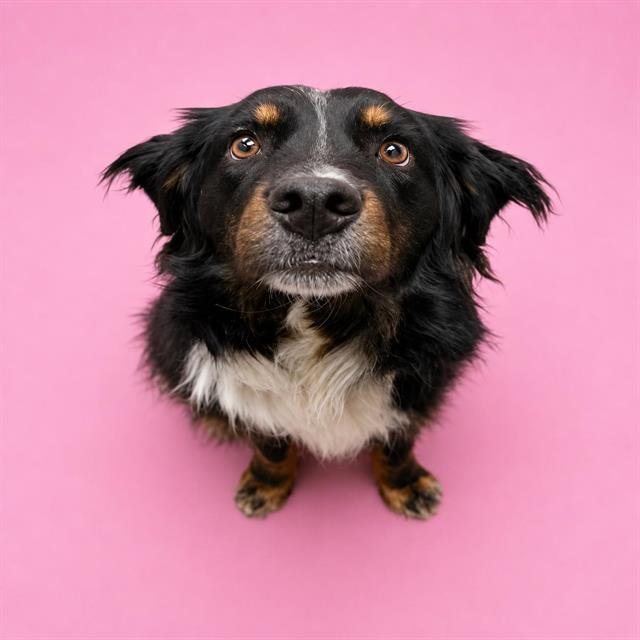 DELILAH Image