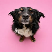 DELILAH - Photo 1
