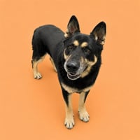 WALTER - Photo 1