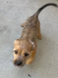 SPARX - Photo 1