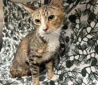 FIONA - Photo 1