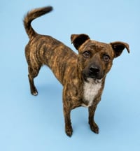 CARTER - Photo 1