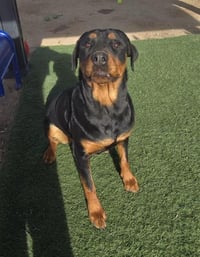 MEEKA - Photo 1