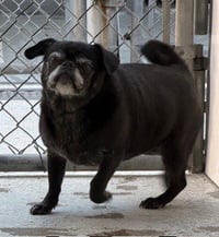 SUSHI - Photo 1