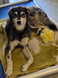 ROXY MAE - Photo 1
