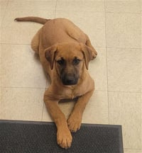 FIONA - Photo 1