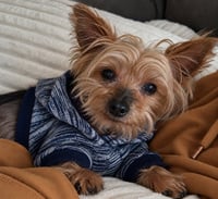 Reggie - Photo 3