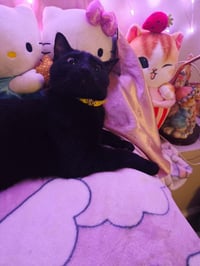 Precious - Photo 4
