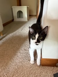 Jethro - Photo 1