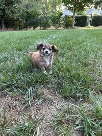 Milly - Photo 3