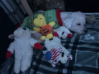 Otis - Photo 4