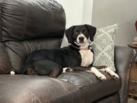 Ginny - Photo 2