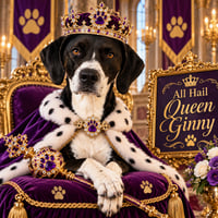 Ginny - Photo 2