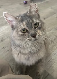 Tatelynn - Photo 2