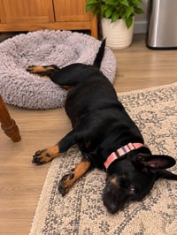Gabby - Photo 3
