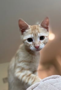 Wally - Photo 1