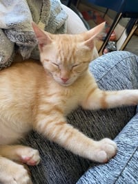 Wally - Photo 3